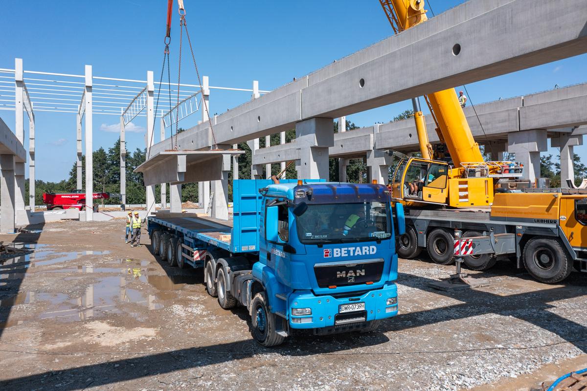transport płyt TT